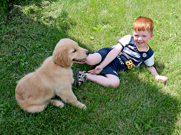 Organic Solutions to Protect Kids & Pets